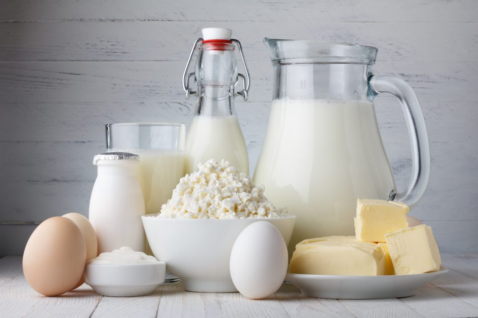Are Dairy Products Good Decisions?