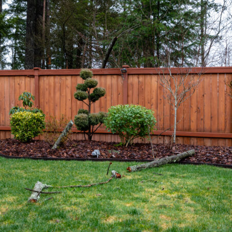 Wood fence with trees around it