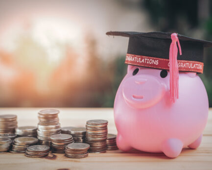 pink color piggy bank