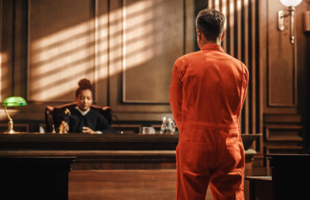 How Lawyers Navigate Felony Cases for a Just Defense