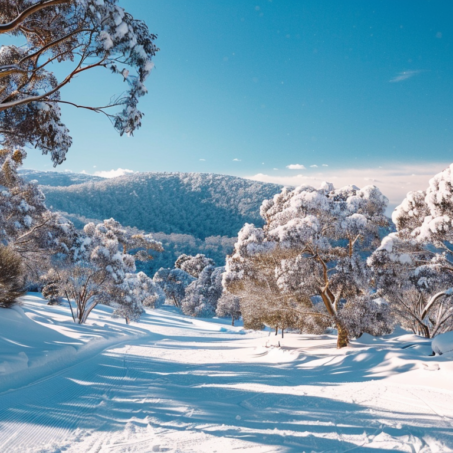 10 Tips to Experience Snow on the Cheap in Australia: A Budget-Friendly Guide