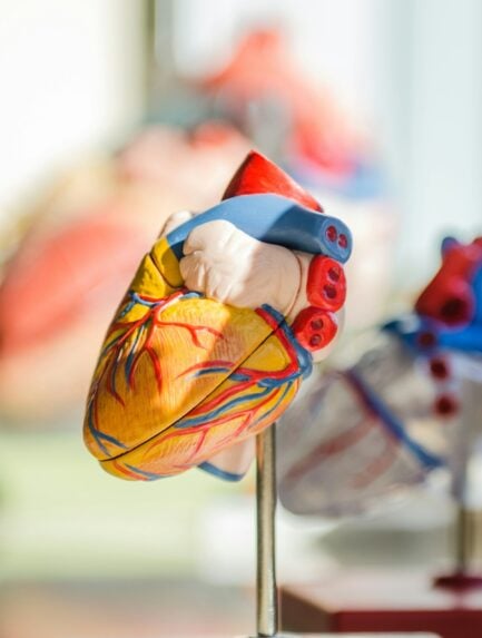 4 Ways Hormone Replacement Can Improve Your Quality of Life