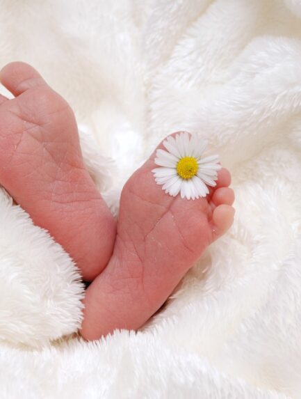 Image by Madlen Deutschenbaur from Pixabay