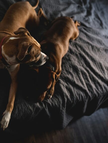 Photo by Jared Murray on Unsplash