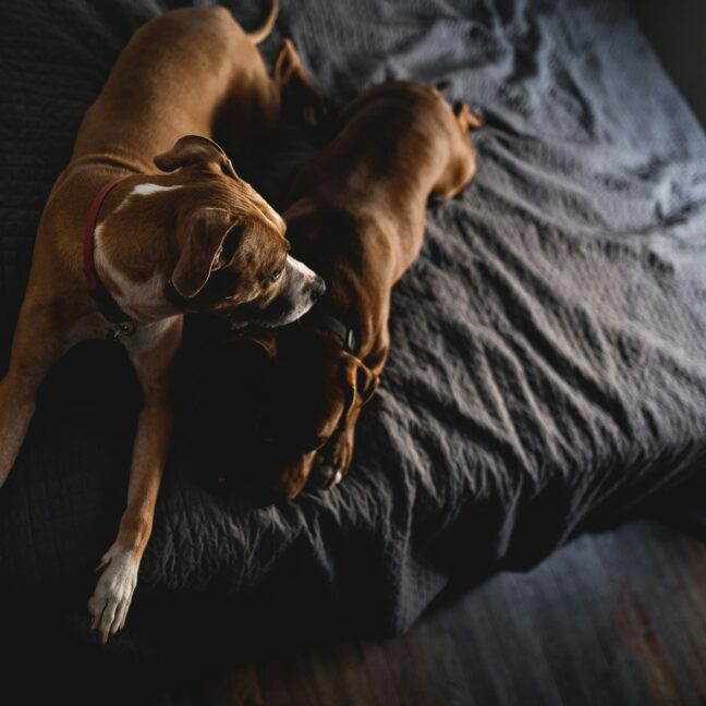 Photo by Jared Murray on Unsplash