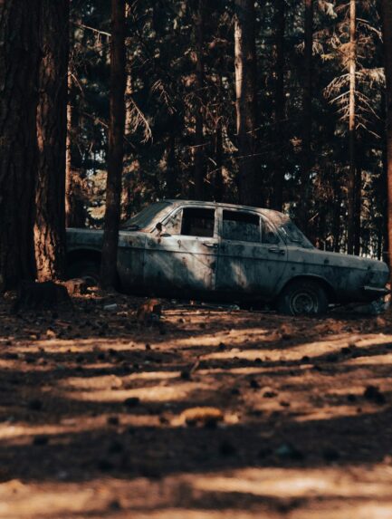 Photo by Aliaksei Ramanouski on Unsplash