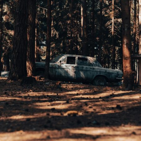 Photo by Aliaksei Ramanouski on Unsplash
