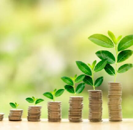Financial Clarity