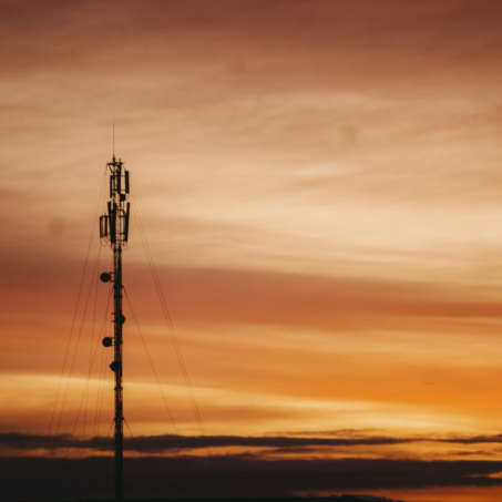Top Carrier Voice Platform Capabilities Routing, Analytics, and Fraud Protection