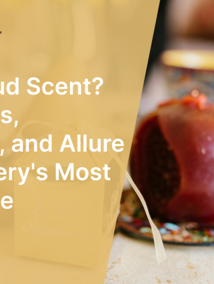 What Is Oud Scent The Origins, Chemistry, and Allure of Perfumery's Most Prized Note