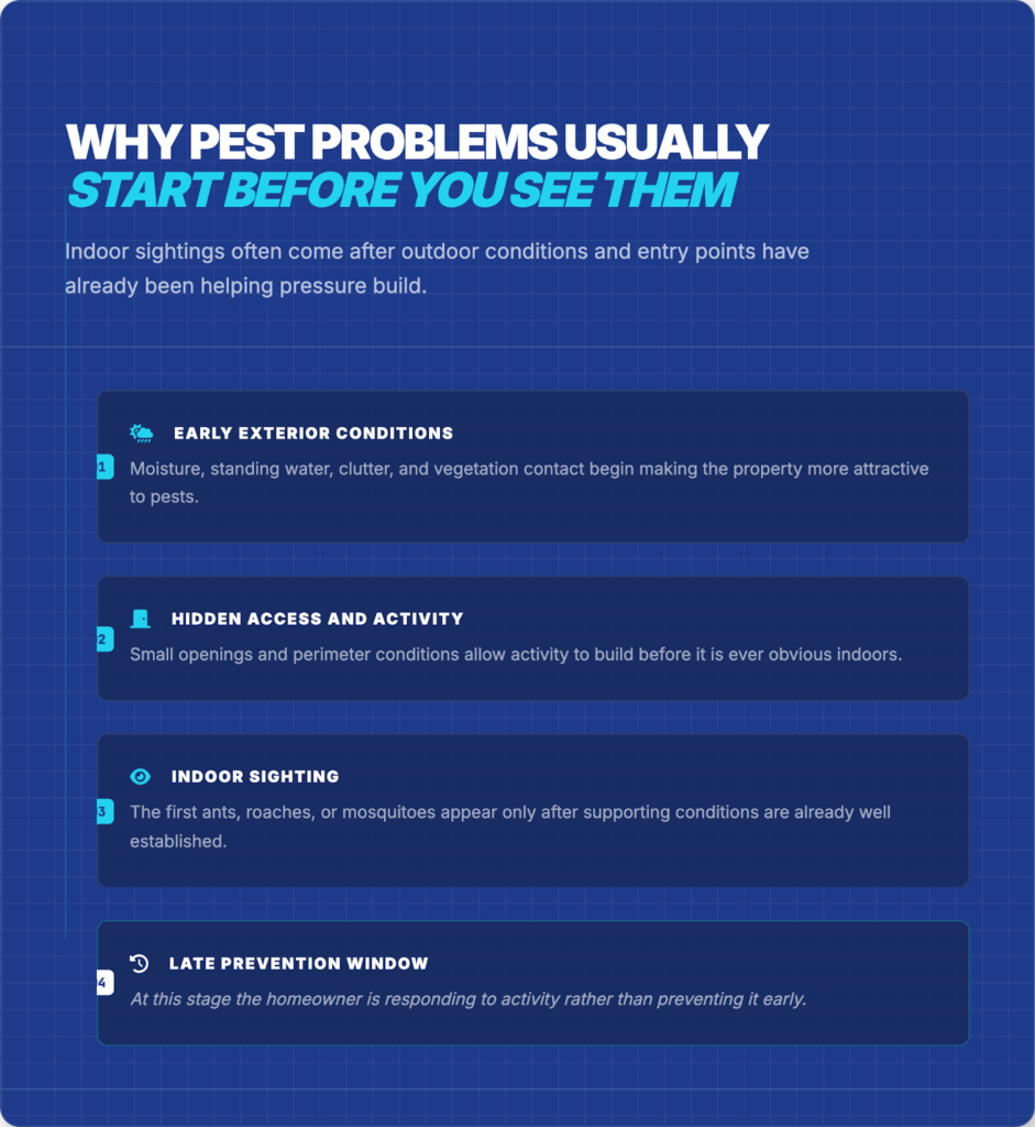 Why Waiting Until You See Pests Is Usually Too Late for Prevention