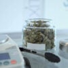 How Extraction Method Changes a Cannabis Concentrate