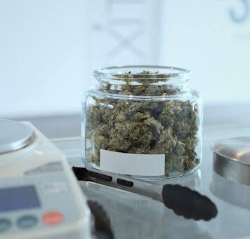 How Extraction Method Changes a Cannabis Concentrate