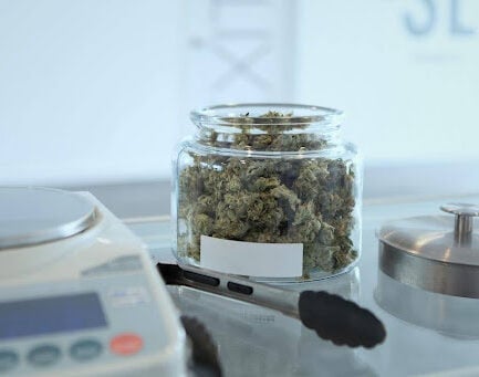 How Extraction Method Changes a Cannabis Concentrate