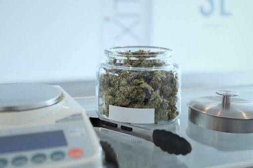 How Extraction Method Changes a Cannabis Concentrate