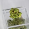 How Extraction Method Changes a Cannabis Concentrate