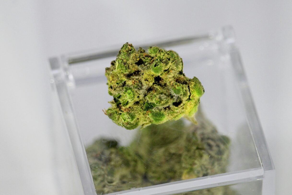 How Extraction Method Changes a Cannabis Concentrate